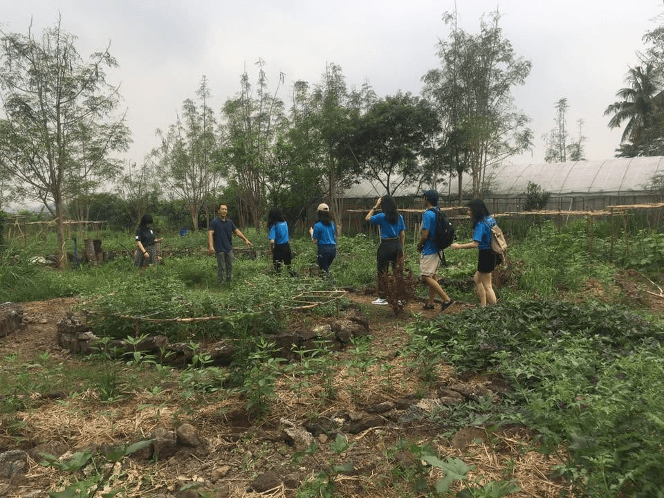 Participants outdoors during Green Chefmanship training